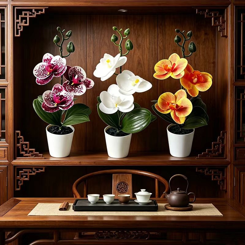 Mini Orchidea Farfalla in Vaso - Badminton Live recensione e prezzo