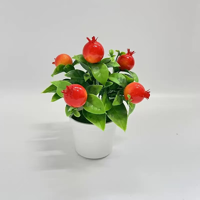 Bonsai Creativo di Frutta Arti - Badminton Live recensione e prezzo