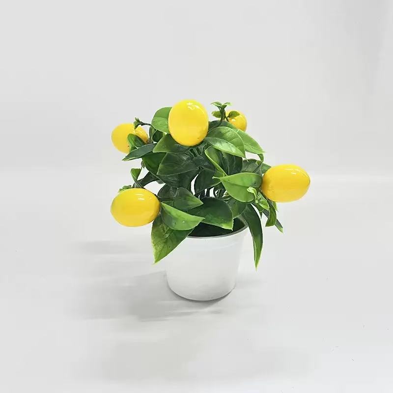 Bonsai Creativo di Frutta Arti - Badminton Live recensione e prezzo