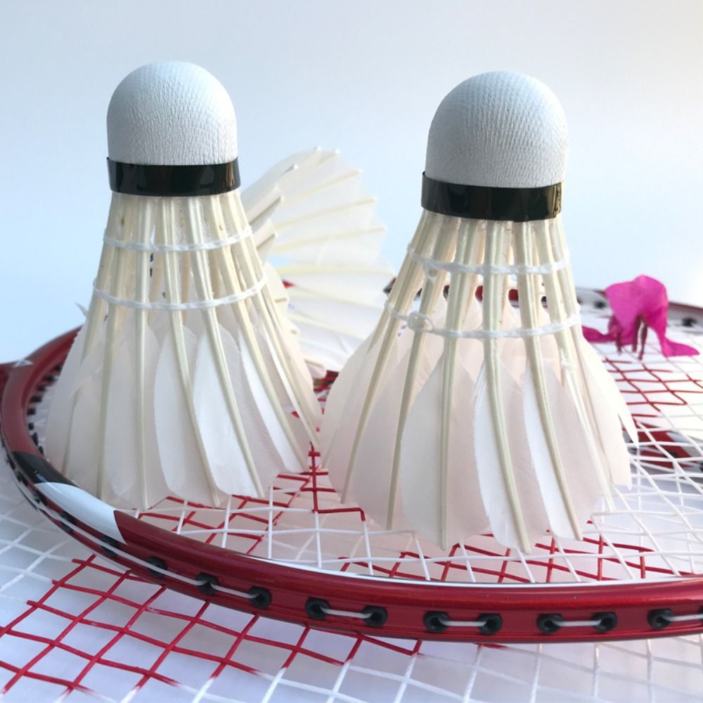 3/6/12 pezzi volano da badmint - Badminton Nylon Shuttlecock recensione e prezzo