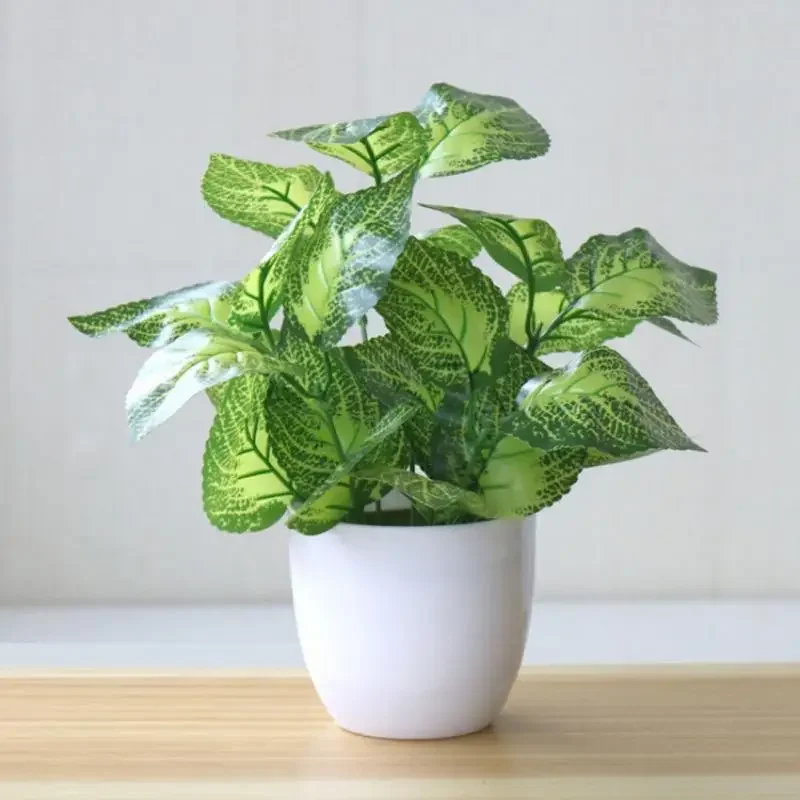 Piante artificiali Bonsai Pian - Badminton Live recensione e prezzo