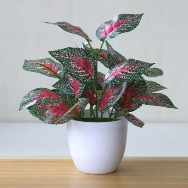 Piante artificiali Bonsai Pian - Badminton Live recensione e prezzo